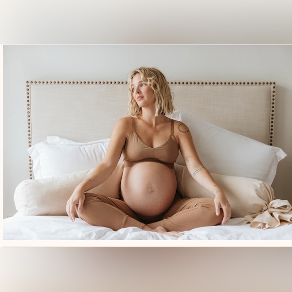 Wildbird Maternity Pillow GUC - Picture 3 of 3